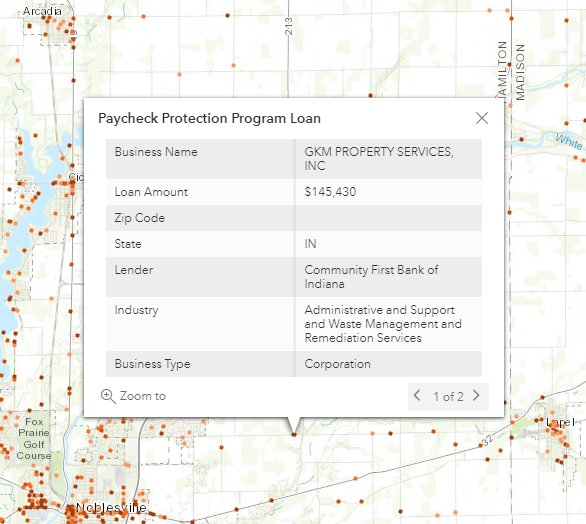 screenshot of the PPP loan details pop-up window