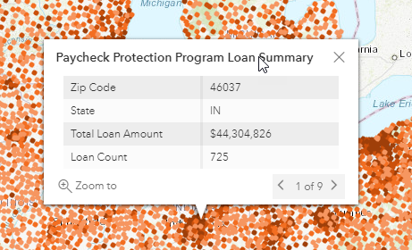 screenshot of PPP loan summary pop-up window