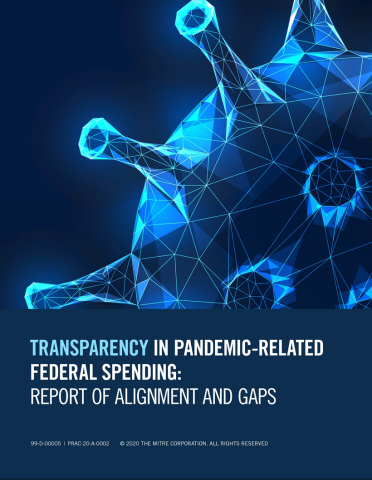 cover of Cares Act Data Gaps Report