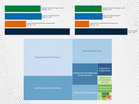 multicolored bar graphs and a treemap