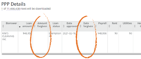 PPP loan details for Kim's Cleaning, Inc. which shows blank fields for both Amount forgiven and Date forgiven for a $49,000 PPP loan