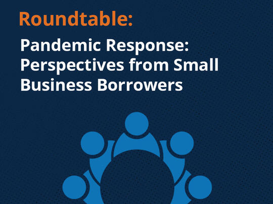 Pandemic response perspectives from small business borrowers.