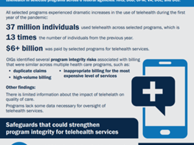small image of an infographic with information on Telehealth Report findings