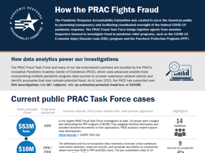 screenshot of the PRAC fraud task force infographic
